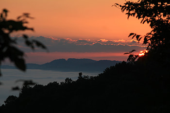 Nature, Sky, Sun, Clouds, Branches, Rise, Sunrise HD wallpaper