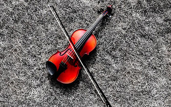 High resolution violin, background, Musical inspiration, Eloquent instrument HD wallpaper