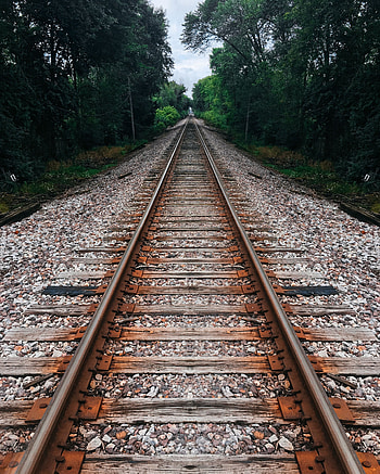 Nature, Trees, Stones, Pebble, Railway, Direction HD phone wallpaper