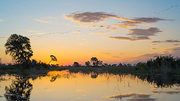 Okavango Delta safari lodge, Xigera Safari Lodge, Botswana beauty, Luxury accommodation HD wallpaper