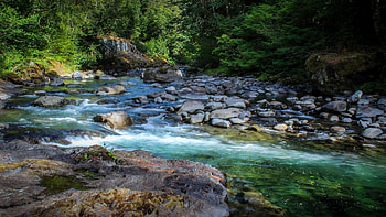 Sol Duc River, Washington, trees, water, usa, stones HD wallpaper