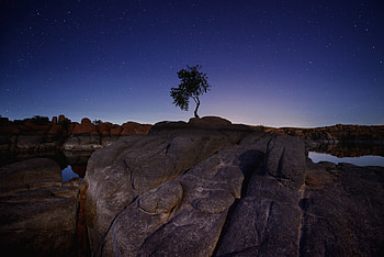 Nature, Stones, Night, Wood, Tree, Lumps, Blocks HD wallpaper