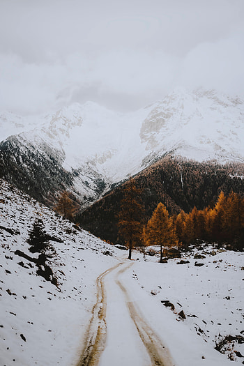 Landscape, Winter, Nature, Mountains, Snow, Road HD phone wallpaper
