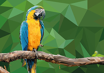 Macaw Low Poly Digital Art, parrot, macaw, birds, artist, artwork, digital-art, behance HD wallpaper