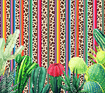 Serape Cactus, plants, boho, western HD wallpaper