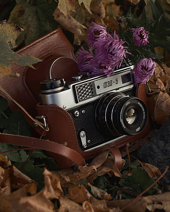 Autumn, Miscellanea, Miscellaneous, Vintage, Foliage, Retro, Lens, Camera HD phone wallpaper