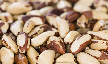Brazil nuts for weight loss, Nutty diet option, Healthy snacking, Satisfying cravings HD wallpaper