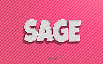 Sage, pink lines background, with names, Sage name, female names, Sage greeting card, line art, with Sage name HD wallpaper