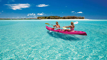 Fraser Island, Locals, Australian side, Explore HD wallpaper