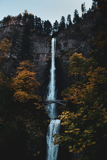 Nature, Trees, Rock, Waterfall, Precipice, Break, Bridge HD phone wallpaper