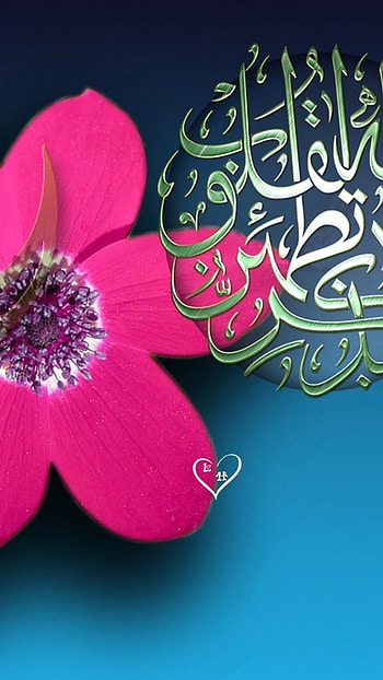 Masha Allah, Pink Flower, Background HD phone wallpaper