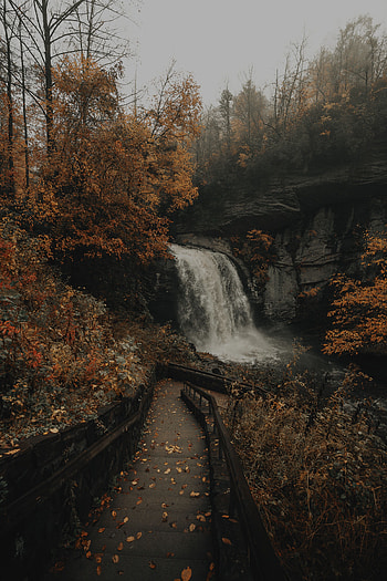 Nature, Rivers, Trees, Rocks, Waterfall, Ladder, Stairs HD phone wallpaper