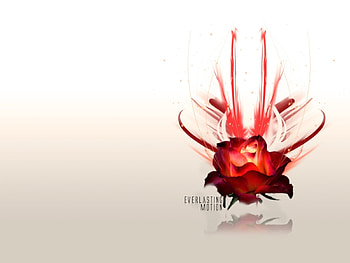 Abstract HD wallpaper