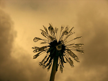 Industrial, clouds, tools, sun, growth HD wallpaper