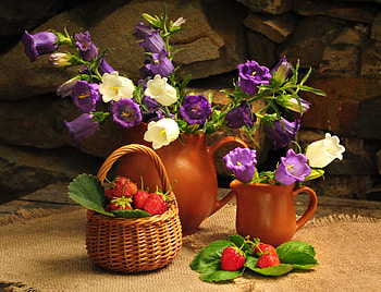 Flowers, Strawberry, Stones, Table, Basket, Jugs HD wallpaper