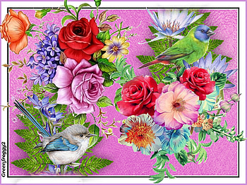 BIRDS AND FLOWERS COLLAGE, BIRDS, FLOWERS, COLLAGE, ABSTRACT HD wallpaper