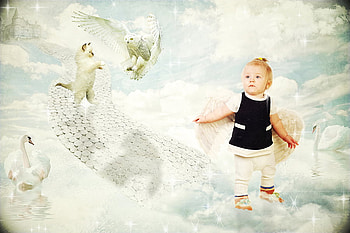 little angel, angel, cat, swan, cloude HD wallpaper