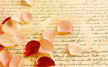 Miscellanea, Miscellaneous, Rose Flower, Rose, Petals, Tape, Letter, Parchment HD wallpaper