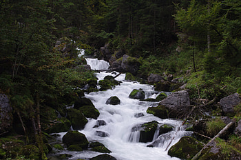Nature, Water, Rivers, Trees, Stones, Forest, Creek, Brook HD wallpaper