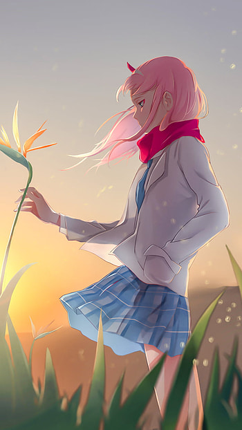 Zero Two, Zero Two (Darling in the FranXX), flower, Anime, Darling in the FranXX, anime sunset HD phone wallpaper