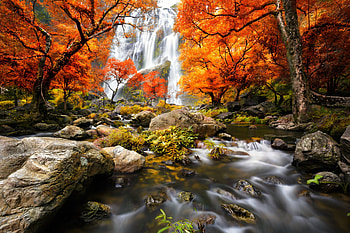 Forest waterfall, Water, Autumn, Trees, River, Scenery HD wallpaper