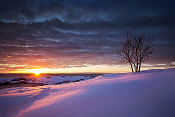 Lofotes Islands, Norway, sea, snow, landscape, clouds, colors, sky, sun, tree HD wallpaper