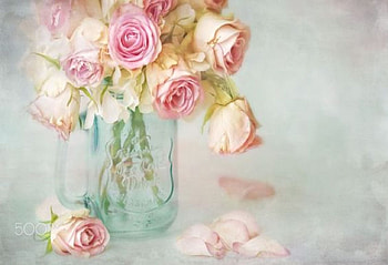 Sweet and Fragrant, sweet, pastel, pink, roses, fragrant, gift, lovely HD wallpaper