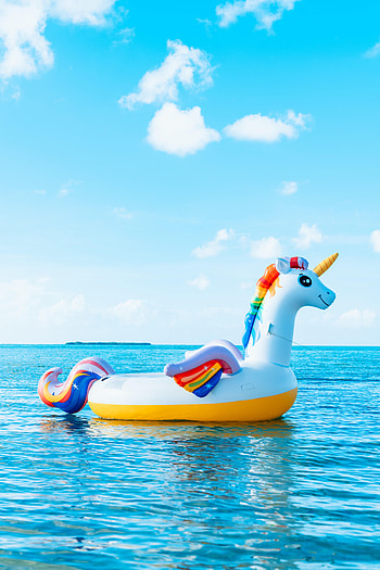 Sea, Miscellanea, Miscellaneous, Relaxation, Rest, Unicorn HD phone wallpaper