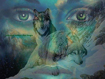 I'll Be Missing You, animal, abstract, wolves, fantasy, woman HD wallpaper