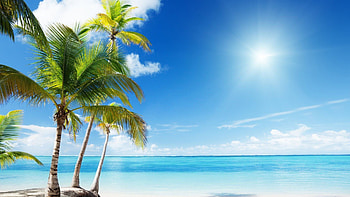 2017 beach , Sunny shores, Coastal beauty, Tropical vacation HD wallpaper