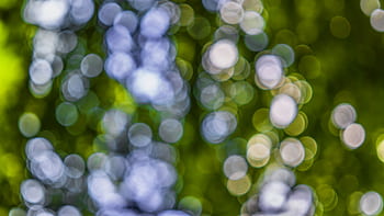 Abstract bokeh background with colorful circles in green and blue hues, ideal for creative use. HD wallpaper