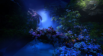 Flower forest, Man, Horse, Forest, Moon, Moss HD wallpaper