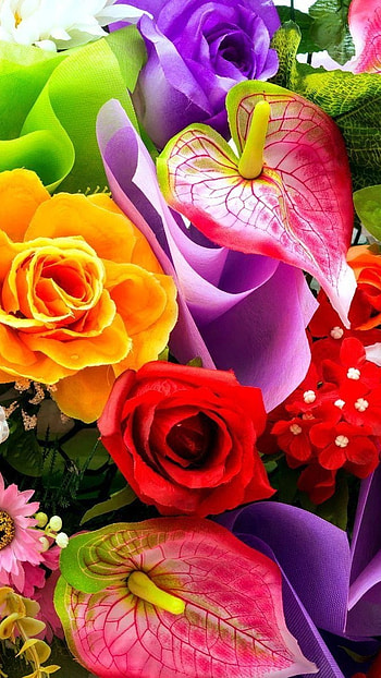 Flowers , Colorful, Flowers HD phone wallpaper