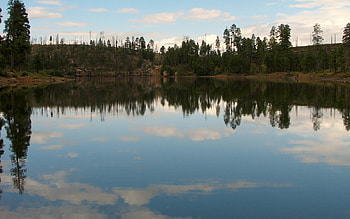 Black Canyon Lake, nature, reflection, forest, lake HD wallpaper