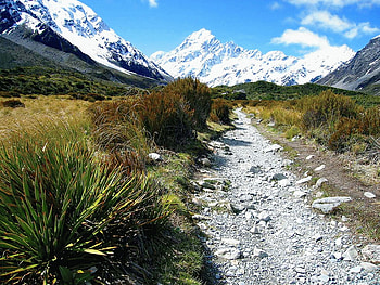 Aoraki Mount Cook National Park, snow, scenic, shrubs, nz, beauty, track, mountain HD wallpaper