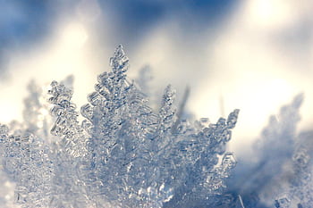 Detailed macro of snowflakes showcasing natural ice crystal patterns in winter. HD wallpaper