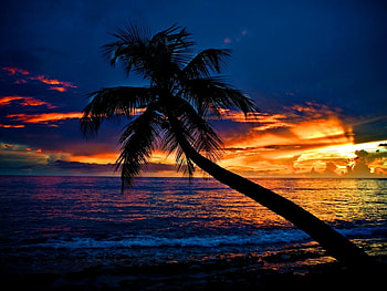 Sunset, sea, nature, beach HD wallpaper