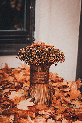 Flowers, Autumn, Bouquet, Foliage, Dry, Bunch, Bundle HD phone wallpaper