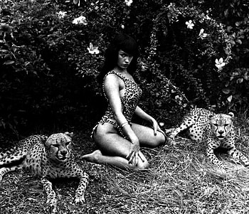 Bettie Page, leopards, model, pretty, bettie, page HD wallpaper