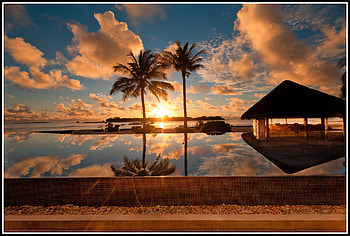 Ideal Resort, island, infinity, palm, tree, reflection, clouds, pool, sky, resort, ocean HD wallpaper