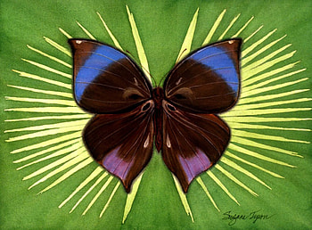 Saturn Butterfly, spiked leaf, velvet butterfly, art HD wallpaper