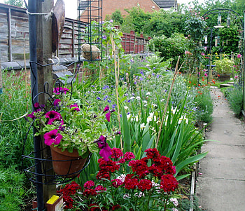 our garden., path, fence, garden, wall, birdfeeders, flowers HD wallpaper