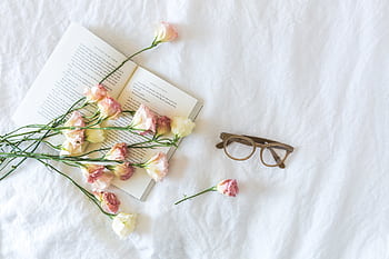 Aesthetic flat lay with delicate flowers, open book, and eyeglasses on white backdrop. HD wallpaper