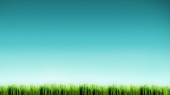 Grass, Background, Sky HD wallpaper
