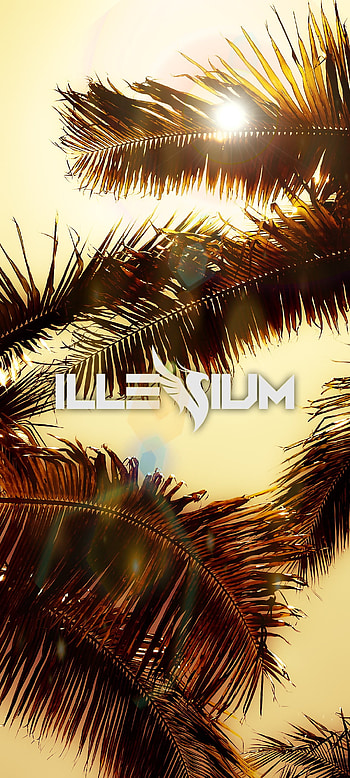 Illenium, dj, festival, tropics, edm HD phone wallpaper
