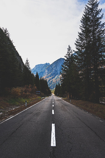 Nature, Trees, Mountains, Road, Markup HD phone wallpaper