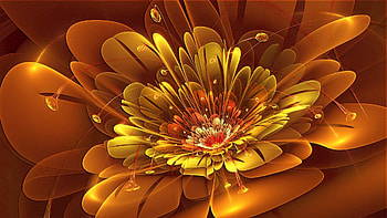 Abstract, Patterns, Flower, Shine, Light, Bright HD wallpaper