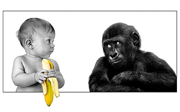 Black and white, 12, , 2011, 03, funny HD wallpaper