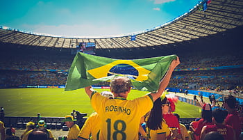 Excited Brazilian fans holding flag at soccer match in vibrant stadium atmosphere. HD wallpaper