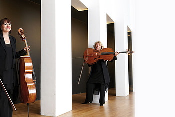 Music, Violoncello, Duo, Musical harmony HD wallpaper